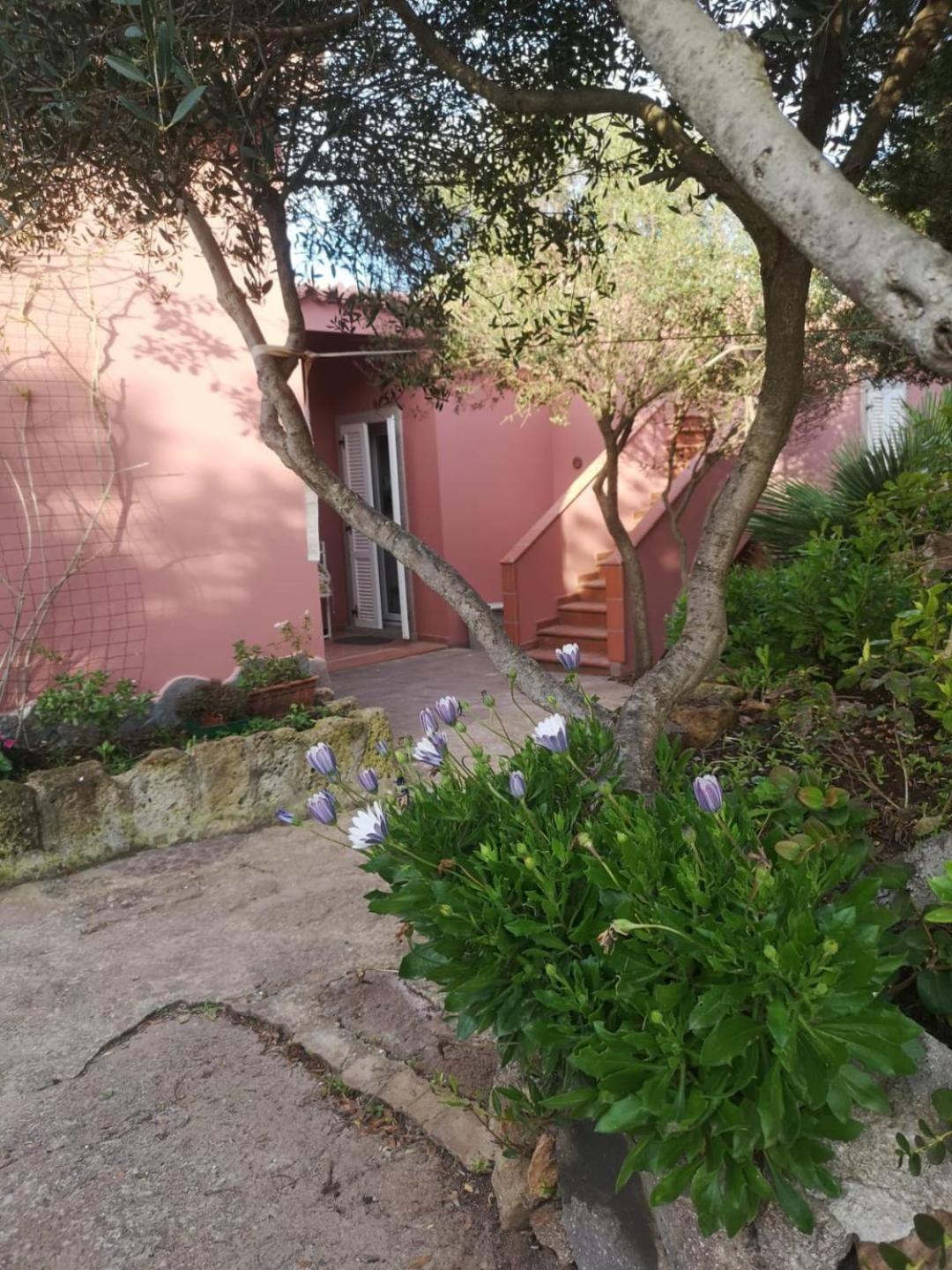 B&B Domus Oriens - Monolocale Indipendente In Villa Portoscuso Eksteriør bilde